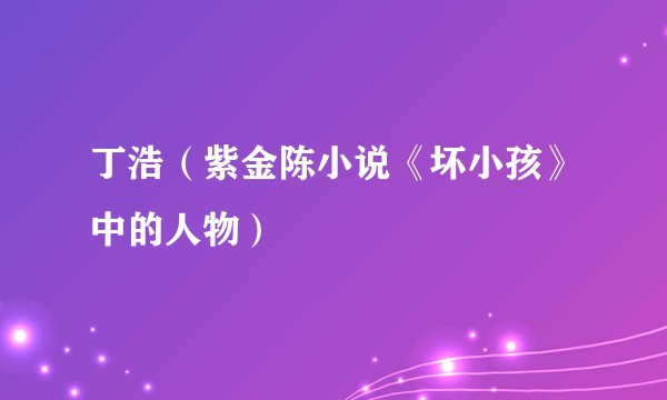 丁浩（紫金陈小说《坏小孩》中的人物）