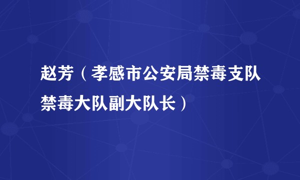 赵芳（孝感市公安局禁毒支队禁毒大队副大队长）