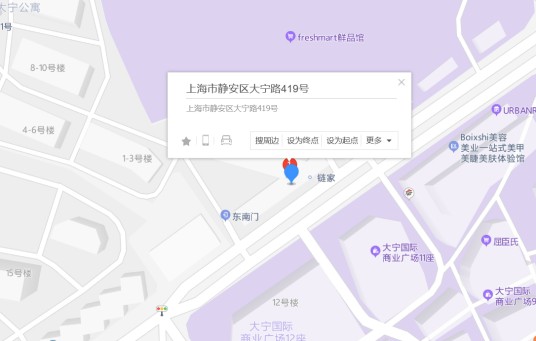 大宁路419号