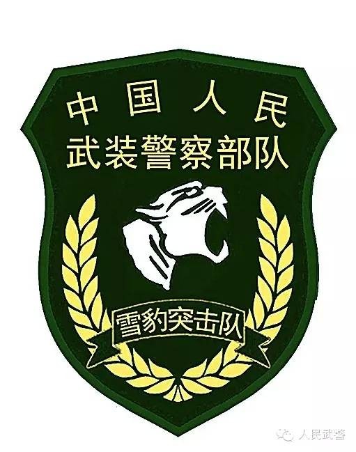 雪豹突击队