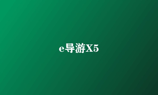 e导游X5