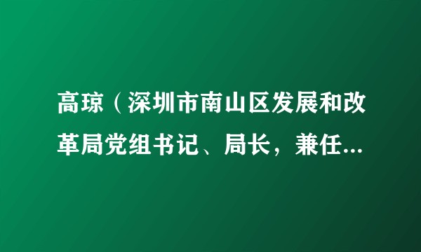 高琼(深圳市南山区发展和改革局党组书记、局长,兼任党支部书记)