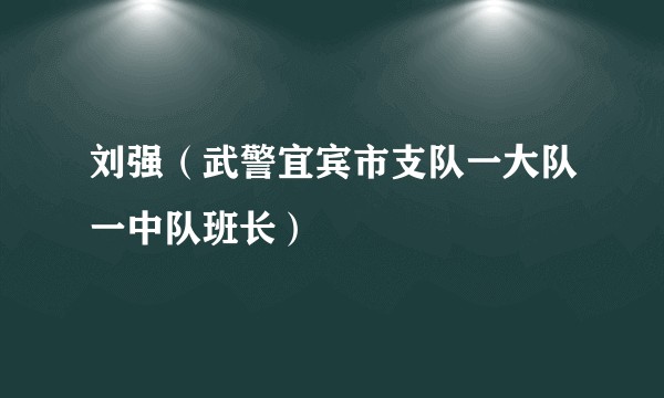 刘强（武警宜宾市支队一大队一中队班长）