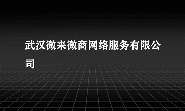 武汉微来微商网络服务有限公司