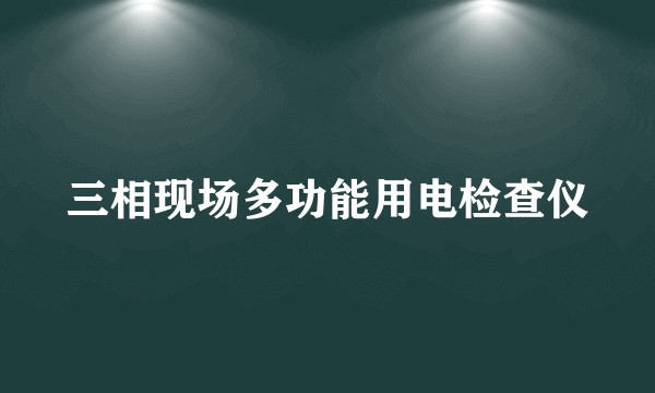 三相现场多功能用电检查仪