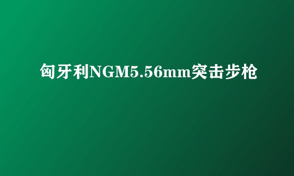 匈牙利NGM5.56mm突击步枪