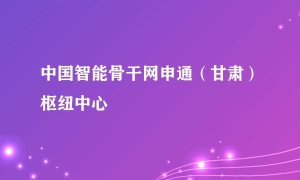 中国智能骨干网申通(甘肃)枢纽中心