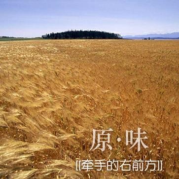 这个夏天（原·味演唱歌曲）