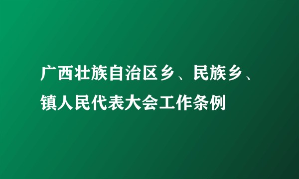 广西壮族自治区乡、民族乡、镇人民代表大会工作条例