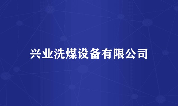 兴业洗煤设备有限公司