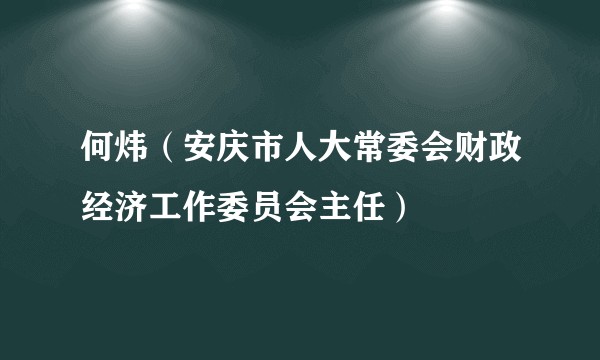 何炜(安庆市人大常委会财政经济工作委员会主任)