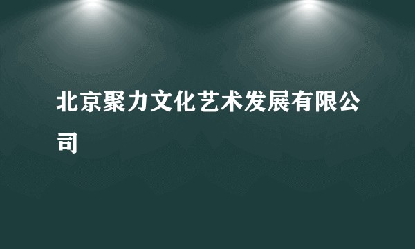 北京聚力文化艺术发展有限公司