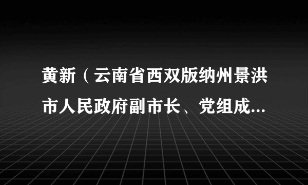 黄新（云南省西双版纳州景洪市人民政府副市长、党组成员，市政法委副书记，市公安局党委委员、书记、局长、督察长）