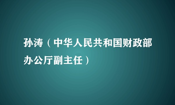 孙涛（中华人民共和国财政部办公厅副主任）