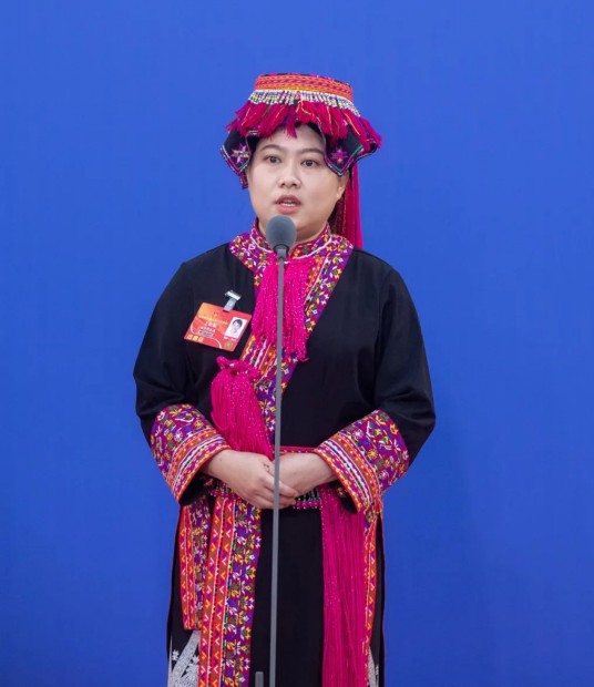 王晓彤（海南省琼中黎族苗族自治县长征镇党委副书记、镇长）