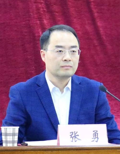 张勇（湖北省京山市委书记）
