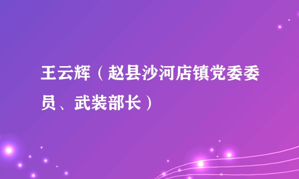 王云辉（赵县沙河店镇党委委员、武装部长）