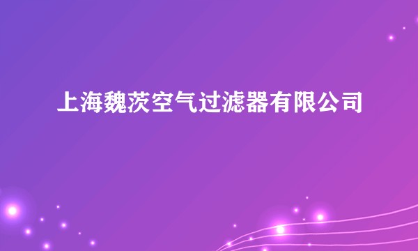 上海魏茨空气过滤器有限公司
