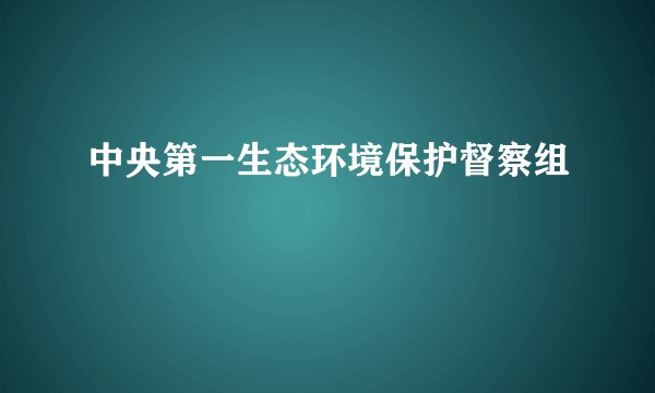 中央第一生态环境保护督察组