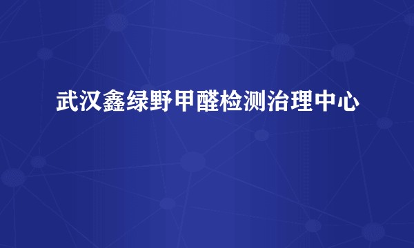 武汉鑫绿野甲醛检测治理中心