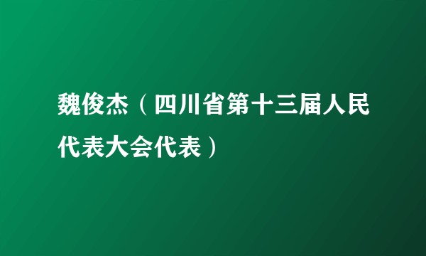 魏俊杰（四川省第十三届人民代表大会代表）