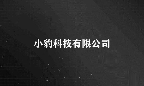 小豹科技有限公司