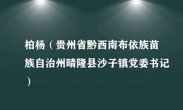柏杨（贵州省黔西南布依族苗族自治州晴隆县沙子镇党委书记）