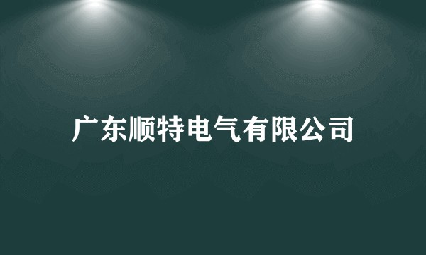广东顺特电气有限公司