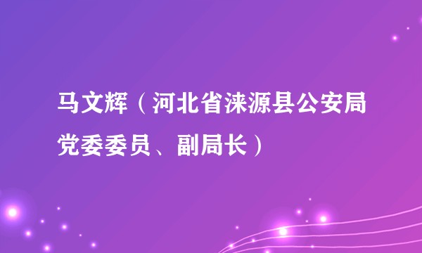 马文辉（河北省涞源县公安局党委委员、副局长）