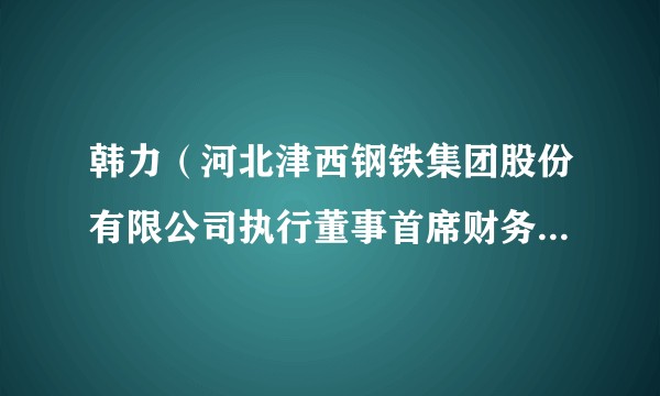 韩力（河北津西钢铁集团股份有限公司执行董事首席财务官，津西钢铁集团常务副总裁）