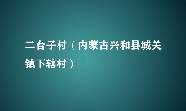 二台子村（内蒙古兴和县城关镇下辖村）