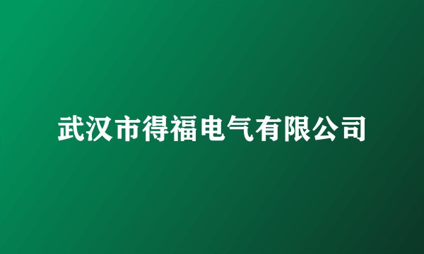 武汉市得福电气有限公司