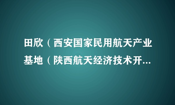 田欣（西安国家民用航天产业基地（陕西航天经济技术开发区）工作委员会委员）