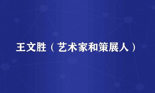 王文胜（艺术家和策展人）
