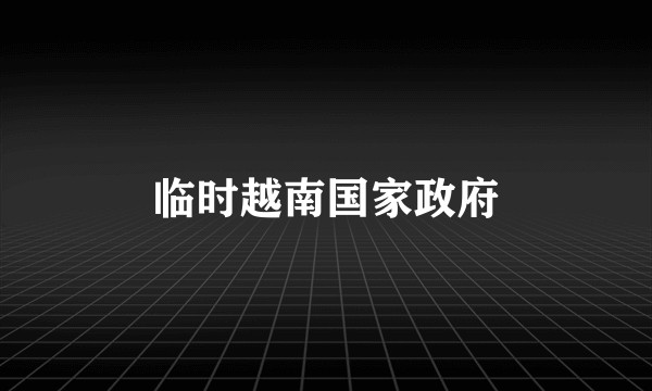 临时越南国家政府