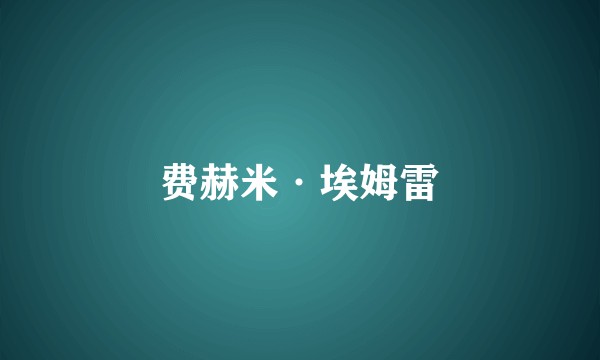 费赫米·埃姆雷