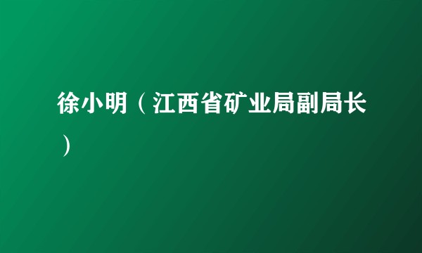 徐小明（江西省矿业局副局长）