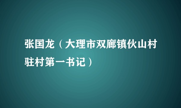 张国龙（大理市双廊镇伙山村驻村第一书记）