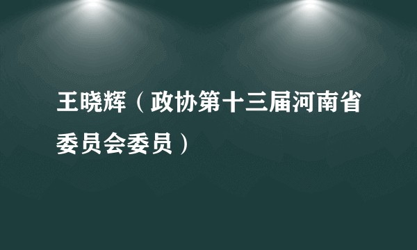 王晓辉（政协第十三届河南省委员会委员）
