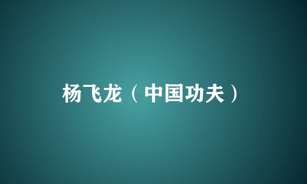 杨飞龙（中国功夫）
