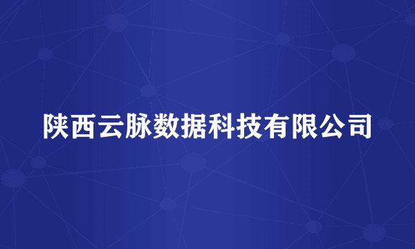 陕西云脉数据科技有限公司