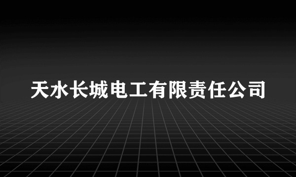 天水长城电工有限责任公司