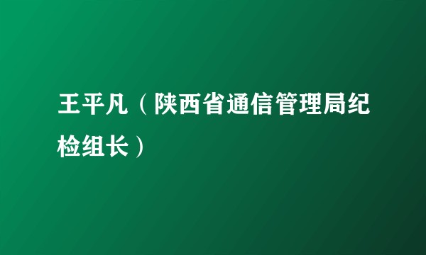 王平凡（陕西省通信管理局纪检组长）
