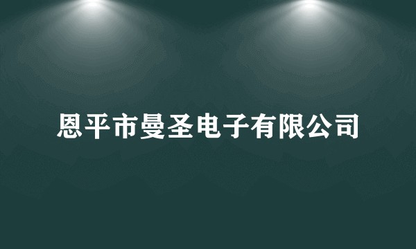 恩平市曼圣电子有限公司