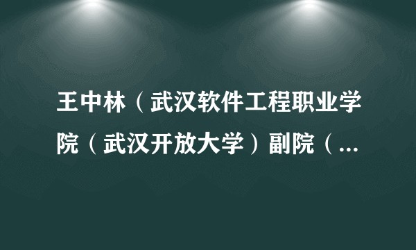 王中林（武汉软件工程职业学院（武汉开放大学）副院（校）长）