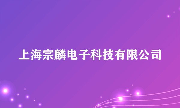 上海宗麟电子科技有限公司