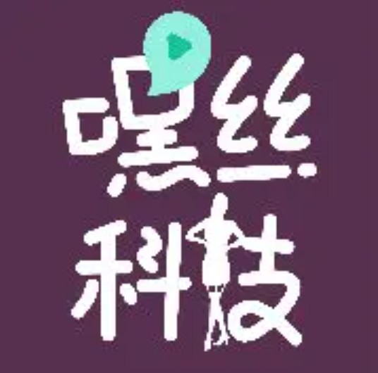 嘿丝科技