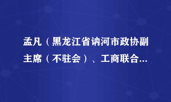 孟凡(黑龙江省讷河市政协副主席(不驻会)、工商联合会主席)