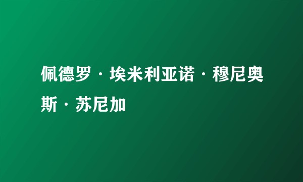 佩德罗·埃米利亚诺·穆尼奥斯·苏尼加