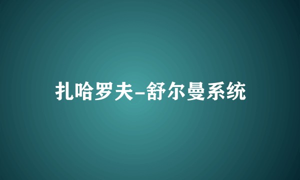 扎哈罗夫-舒尔曼系统